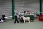Filename=Specials_283229.JPG
Filesize=3430KiB
Dimensions=5184x3456
Date added=Mar 22, 2021 Specials_283229.JPG