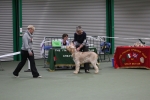 Filename=Specials_283329.JPG
Filesize=3415KiB
Dimensions=5184x3456
Date added=Mar 22, 2021 Specials_283329.JPG