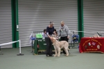 Filename=Specials_283529.JPG
Filesize=3419KiB
Dimensions=5184x3456
Date added=Mar 22, 2021 Specials_283529.JPG