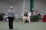 Filename=Specials_283729.JPG
Filesize=3339KiB
Dimensions=5184x3456
Date added=Mar 22, 2021 Specials_283729.JPG