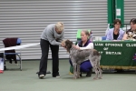 Filename=Specials_284029.JPG
Filesize=3191KiB
Dimensions=5184x3456
Date added=Mar 22, 2021 Specials_284029.JPG