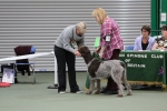 Filename=Specials_284229.JPG
Filesize=3220KiB
Dimensions=5184x3456
Date added=Mar 22, 2021 Specials_284229.JPG