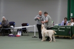 Filename=Specials_284529.JPG
Filesize=3385KiB
Dimensions=5184x3456
Date added=Mar 22, 2021 Specials_284529.JPG