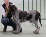 Filename=T-Ettore.jpg
Filesize=184KiB
Dimensions=800x656
Date added=Mar 22, 2021 T-Ettore.jpg