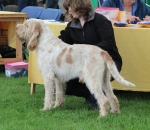 Filename=B-GeorgeGently.jpg
Filesize=248KiB
Dimensions=800x694
Date added=Aug 12, 2017 B-GeorgeGently.jpg