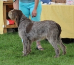 Filename=Diana-DiRimnisInostricani.jpg
Filesize=257KiB
Dimensions=800x704
Date added=Aug 12, 2017 Diana-DiRimnisInostricani.jpg