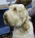 Filename=L-LaSalle-1.jpg
Filesize=226KiB
Dimensions=800x867
Date added=Mar 22, 2021 L-LaSalle-1.jpg