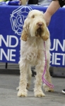 Filename=L-LaSalle.jpg
Filesize=343KiB
Dimensions=800x1295
Date added=Mar 22, 2021 L-LaSalle.jpg
