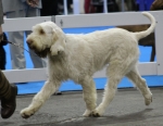 Filename=R-Rafael-1.jpg
Filesize=171KiB
Dimensions=800x621
Date added=Mar 22, 2021 R-Rafael-1.jpg