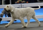Filename=R-Rafael-2.jpg
Filesize=150KiB
Dimensions=800x571
Date added=Mar 22, 2021 R-Rafael-2.jpg