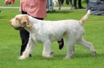 Filename=I-Fiorella-2.jpg
Filesize=189KiB
Dimensions=800x533
Date added=Aug 12, 2017 I-Fiorella-2.jpg