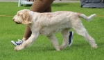 Filename=Inca-Volata-1.jpg
Filesize=182KiB
Dimensions=800x469
Date added=Aug 12, 2017 Inca-Volata-1.jpg