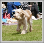 Filename=A_PawsForApplause_2.jpg
Filesize=301KiB
Dimensions=1100x1064
Date added=Aug 12, 2017 A_PawsForApplause_2.jpg