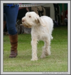Filename=C_LimonCino_1.jpg
Filesize=185KiB
Dimensions=1043x1100
Date added=Aug 12, 2017 C_LimonCino_1.jpg