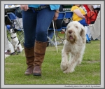 Filename=C_LimonCino_2.jpg
Filesize=237KiB
Dimensions=1100x936
Date added=Aug 12, 2017 C_LimonCino_2.jpg