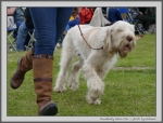 Filename=C_LimonCino_3.jpg
Filesize=183KiB
Dimensions=1100x837
Date added=Aug 12, 2017 C_LimonCino_3.jpg