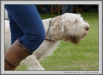 Filename=C_LimonCino_4.jpg
Filesize=124KiB
Dimensions=1100x803
Date added=Aug 12, 2017 C_LimonCino_4.jpg