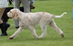 Filename=Aurelia-TheExplorer-5.jpg
Filesize=193KiB
Dimensions=800x514
Date added=Aug 12, 2017 Aurelia-TheExplorer-5.jpg