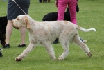 Filename=Aurelia-TheExplorer-6.jpg
Filesize=203KiB
Dimensions=800x541
Date added=Aug 12, 2017 Aurelia-TheExplorer-6.jpg