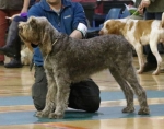 Filename=S-HollyBlue.jpg
Filesize=127KiB
Dimensions=594x469
Date added=Mar 22, 2021 S-HollyBlue.jpg