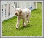 Filename=A_Adrianna_2.jpg
Filesize=262KiB
Dimensions=1000x871
Date added=Mar 23, 2021 A_Adrianna_2.jpg