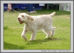 Filename=A_GameChanger_4.jpg
Filesize=149KiB
Dimensions=1000x717
Date added=Mar 23, 2021 A_GameChanger_4.jpg