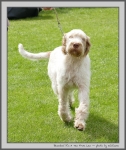Filename=B_ItSATenFromLen_1.jpg
Filesize=229KiB
Dimensions=840x1000
Date added=Mar 23, 2021 B_ItSATenFromLen_1.jpg