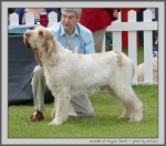 Filename=H_KirRoyale.jpg
Filesize=190KiB
Dimensions=1000x880
Date added=Mar 23, 2021 H_KirRoyale.jpg