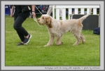 Filename=H_LetSGoCrazy_2.jpg
Filesize=152KiB
Dimensions=1000x686
Date added=Mar 23, 2021 H_LetSGoCrazy_2.jpg