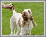 Filename=I_Palmina_2.jpg
Filesize=151KiB
Dimensions=1000x799
Date added=Mar 23, 2021 I_Palmina_2.jpg