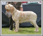 Filename=I_Ryea.jpg
Filesize=231KiB
Dimensions=1200x1000
Date added=Mar 23, 2021 I_Ryea.jpg