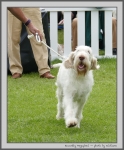 Filename=K_Megapixel_1.jpg
Filesize=207KiB
Dimensions=830x1000
Date added=Mar 23, 2021 K_Megapixel_1.jpg