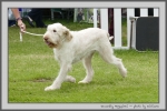 Filename=K_Megapixel_4.jpg
Filesize=150KiB
Dimensions=1000x670
Date added=Mar 23, 2021 K_Megapixel_4.jpg