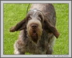 Filename=M_Hugo_3.jpg
Filesize=182KiB
Dimensions=1000x810
Date added=Mar 23, 2021 M_Hugo_3.jpg