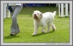 Filename=N_Bewitched_3.jpg
Filesize=185KiB
Dimensions=1000x646
Date added=Mar 23, 2021 N_Bewitched_3.jpg