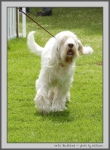 Filename=N_Bewitched_4.jpg
Filesize=231KiB
Dimensions=736x1000
Date added=Mar 23, 2021 N_Bewitched_4.jpg