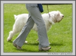 Filename=N_Bewitched_5.jpg
Filesize=169KiB
Dimensions=1000x737
Date added=Mar 23, 2021 N_Bewitched_5.jpg