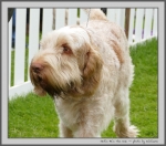 Filename=N_HeSTheOne_5.jpg
Filesize=157KiB
Dimensions=1000x886
Date added=Mar 23, 2021 N_HeSTheOne_5.jpg