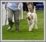 Filename=R_Carluccio_3.jpg
Filesize=218KiB
Dimensions=1000x915
Date added=Mar 23, 2021 R_Carluccio_3.jpg