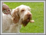 Filename=R_FairDinkum_6.jpg
Filesize=127KiB
Dimensions=1000x769
Date added=Mar 23, 2021 R_FairDinkum_6.jpg