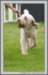 Filename=S_Portia_1.jpg
Filesize=171KiB
Dimensions=643x1000
Date added=Mar 23, 2021 S_Portia_1.jpg