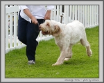 Filename=S_Portia_3.jpg
Filesize=182KiB
Dimensions=1000x806
Date added=Mar 23, 2021 S_Portia_3.jpg