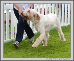 Filename=S_Portia_4.jpg
Filesize=192KiB
Dimensions=1000x828
Date added=Mar 23, 2021 S_Portia_4.jpg