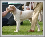 Filename=T_MagicMoments.jpg
Filesize=177KiB
Dimensions=1000x826
Date added=Mar 23, 2021 T_MagicMoments.jpg