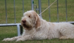 Filename=C-Eagle-1.jpg
Filesize=151KiB
Dimensions=800x473
Date added=Mar 23, 2021 C-Eagle-1.jpg