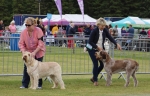 Filename=Dog_Lineup-3.jpg
Filesize=229KiB
Dimensions=800x515
Date added=Mar 23, 2021 Dog_Lineup-3.jpg