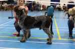 Filename=T-Ettore.jpg
Filesize=183KiB
Dimensions=800x533
Date added=Mar 23, 2021 T-Ettore.jpg