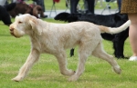 Filename=A-Adrianna.jpg
Filesize=206KiB
Dimensions=800x522
Date added=Mar 23, 2021 A-Adrianna.jpg