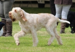Filename=Aurelia-TheExplorer-3.jpg
Filesize=214KiB
Dimensions=800x563
Date added=Mar 23, 2021 Aurelia-TheExplorer-3.jpg