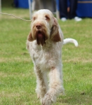 Filename=Aurelia-TheExplorer-4.jpg
Filesize=266KiB
Dimensions=800x911
Date added=Mar 23, 2021 Aurelia-TheExplorer-4.jpg